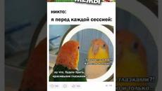 Лютые приколы и мемы #приколы #лютыеприколы #мемы2021 #юмор #озвучка #мемыпро100 - Videoclip.bg