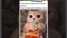 Лютые приколы и мемы #приколы #лютыеприколы #мемы2021 #юмор #озвучка #мемыпро100 - Videoclip.bg