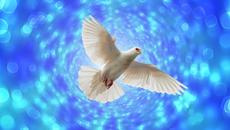 John Lennon - Give Peace A Chance - Videoclip.bg