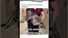 #мемы #приколы #юмор #лютыеприколы #озвучкамемов #озвучка #мемы2021  #мемыпро100  #приколы2021 - Videoclip.bg