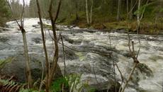 River With Mini Waterfall | Rich, full smooth white natural sounds - Videoclip.bg