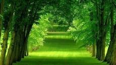 Ще глобяват България всеки ден заради мръсния въздух - Videoclip.bg