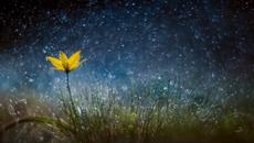 Честито Рождество Христово и Весело посрещане на Новата 2022 Година - Сама във цъфналата ръж - Videoclip.bg