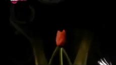 сезони на любовта епизод 6 - Videoclip.bg