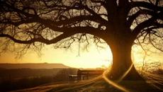 Blame - Sphere (Seba Remix) - Videoclip.bg