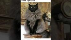 Мемы 2022 #мемы2022 #смешныекоты #мемы #приколы #юмор #мемыскотами #мемыдня #мемасы #про100мемы - Videoclip.bg