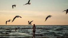 НЯМА Я РАДОСТТА - Videoclip.bg