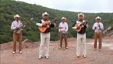„Pajarillo barranqueño“ – Bertín y Lalo - Videoclip.bg