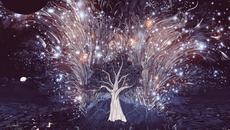 Sacred Shapes - Videoclip.bg