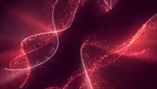 Moby Grape - Never - Videoclip.bg