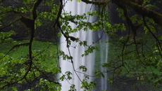 Света е прекрасен - I Run To You My Love - Videoclip.bg