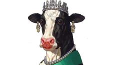 Аз съм мъничко човече by vaskomutafchiev2- Педя човек, лакът брада ♫ R ♫ ♛ - Videoclip.bg