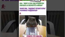 #мемы #приколы #мемы2022 #коты #мемыскотами #приколы2022 #короткиеприколы #мемасы #мемчики #животные - Videoclip.bg