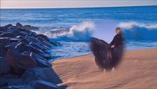 Polyushka Polye  instrumental - Videoclip.bg