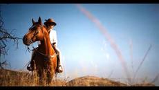 LP - The One That You Love - Videoclip.bg