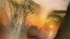 LP - The One That You Love - Videoclip.bg