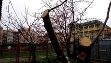 С тъга по изминалото лято - Дъжда и отрязаната ми смокиня - Videoclip.bg