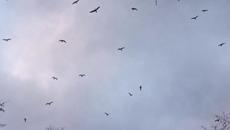 Привечер в Бургас - Videoclip.bg