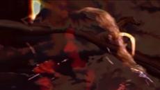 Deep Purple - Soldier of fortune - Videoclip.bg