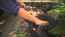 Eugene Cussons and Claudine - Videoclip.bg