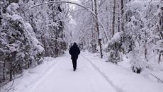 Георгий Свиридов  -  Метель (Романс) - Videoclip.bg