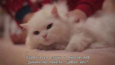 ✍️  Dragica Zlatic - Minut ljubavi - Videoclip.bg