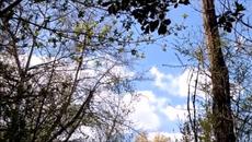 Євген Дятлов  -  НIЧ ЯКА МIСЯЧНА - Videoclip.bg