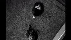 2Bona - ENZO (Official video) - Videoclip.bg