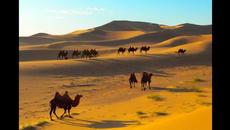 Дикий мир. Самая загадочная пустыня - Гоби. - Videoclip.bg