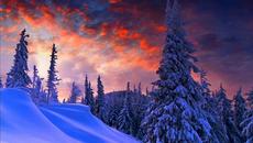 Зимна фантазия - Videoclip.bg