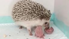 почему я залип на это Видео #shorts - Videoclip.bg