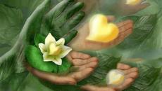 Ръка за прошка- Дамян Дамянов - Videoclip.bg