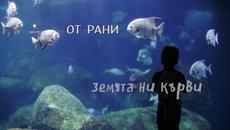 ЗА МИРЕН СВЯТ - Силвия Кацаров, Тони Димитрова, Орлин Горанов и Илия Ангелов - Videoclip.bg