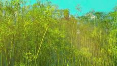 Великото пътешествие The Big Trip   (2019) Бг Аудио Част 1 - Videoclip.bg