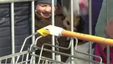 Ukrainian Child Refugee Beams After Getting a Lollipop #Shorts - Videoclip.bg