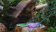 Relaxing Music   Meditation Music   Sleeping Music   Yoga Music   Spa Music   Study Music  Insomnia - Videoclip.bg