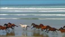 Dulce Pontes *¨* Canção do Mar ♪♫ (English Subs) ♪♫★ HD ★ - Videoclip.bg