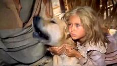 „Стас и Нели“ 1 – приключенски филм, II част - Videoclip.bg