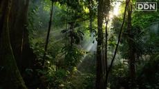 The Tipping Point that will DESTROY the World | George Monbiot - Videoclip.bg