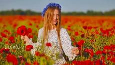 Fabulous Colorful Nature. Red Poppy. The Morning Light - Best Ambient & Instrumental Music. - Videoclip.bg