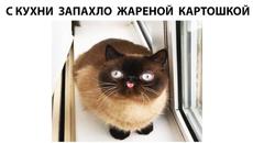 Мемы 2022 - Videoclip.bg