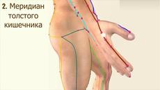 12 те  меридиана на енергиите на  човека - Videoclip.bg