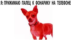 Мемы 2022 - Videoclip.bg