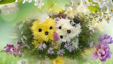 Игорь Ашурав   -   Ти мне от Бога награда - Videoclip.bg