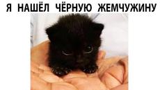 Мемы 2022 - Videoclip.bg