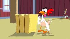 Смахнатата кокошка - Videoclip.bg