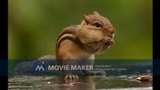 АКВАРЕЛ--КЪМ ДОМА - Videoclip.bg