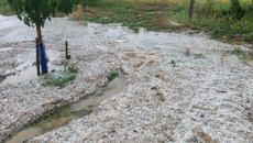 Градушка удари Садово, реколтата е унищожена - Videoclip.bg