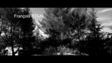 MINUIT - (L'alcool et l'artiste) - Staal - Album "L'Humaine Beauté" 2021 - Videoclip.bg