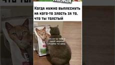 Лютые приколы и мемы #приколы #лютыеприколы #мемы2022 #юмор - Videoclip.bg